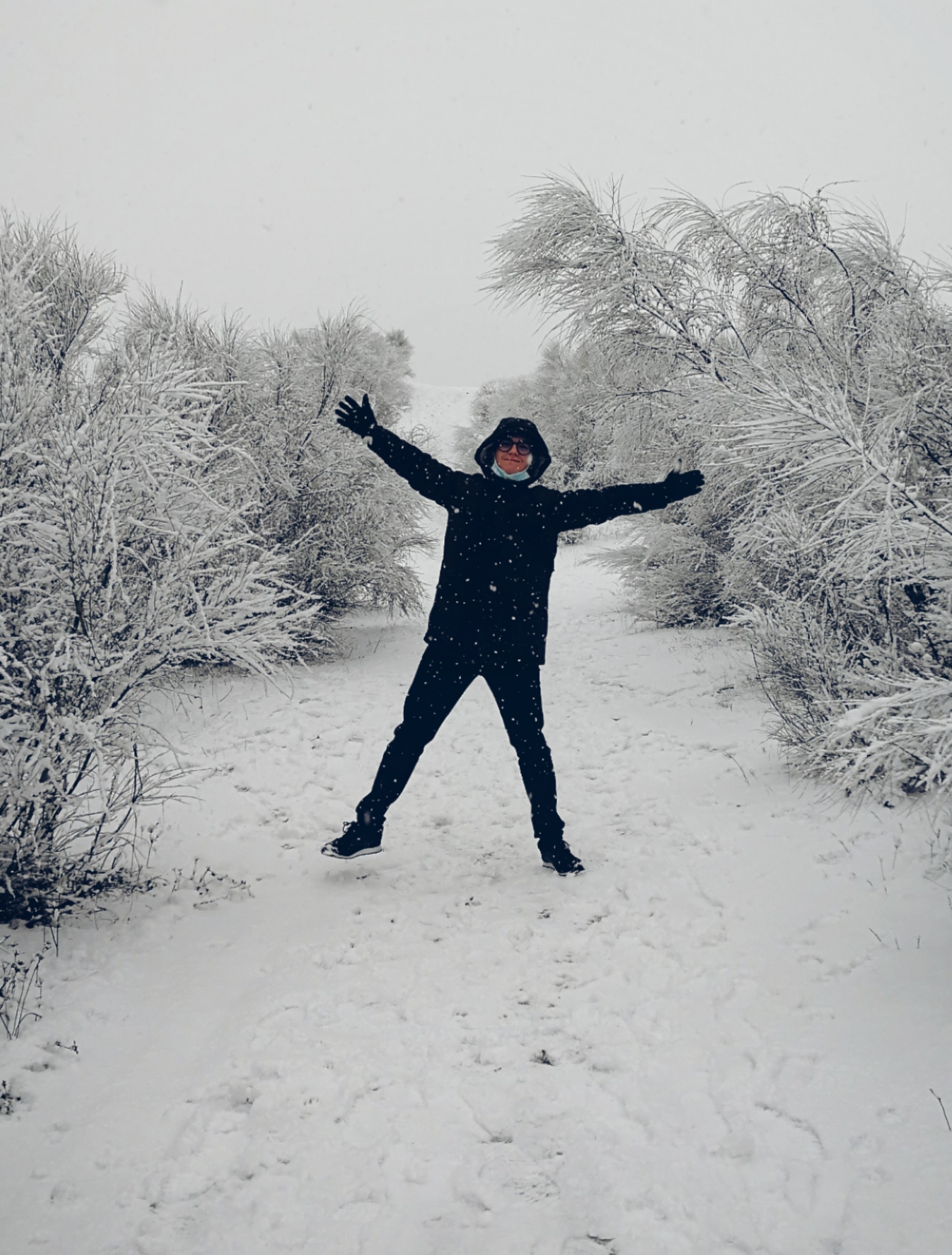 Picture in the snow